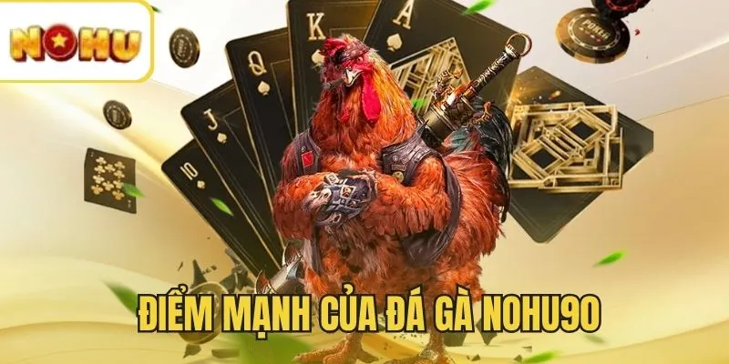 Lợi ích đặc quyền khi trải nghiệm đá gà NOHU90